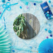 シュフレッシュカットセージ納木材 ペーパープレート (パーティー)