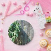 シュフレッシュカットセージ納木材 ペーパープレート (パーティー)