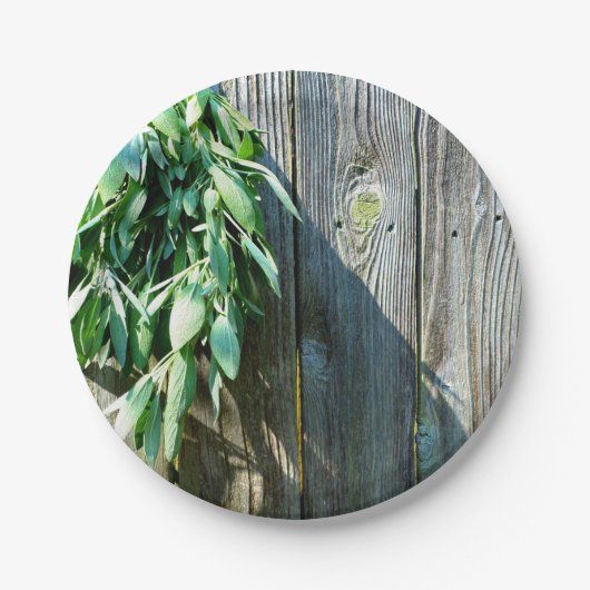 シュフレッシュカットセージ納木材 ペーパープレート (正面)