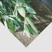 シュフレッシュカットセージ納木材 薄葉紙 (詳細)