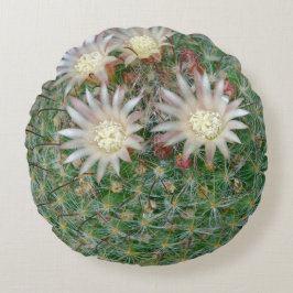 シュプキー開花天然緑サボテン ラウンドクッション