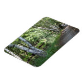 シュプレワルド運河 マグネット (左側)