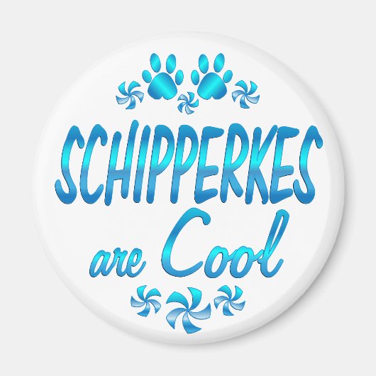 シュペルクスクールは マグネット (正面)