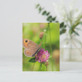 シュメタリング ポストカード (スタンド正面)