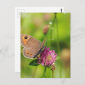 シュメタリング ポストカード (正面/裏面)