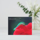 シュメテルリンゲ精機 ポストカード (スタンド正面)