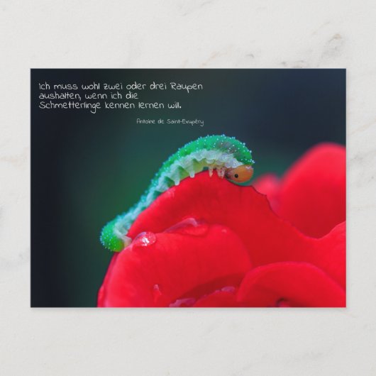 シュメテルリンゲ精機 ポストカード (正面)