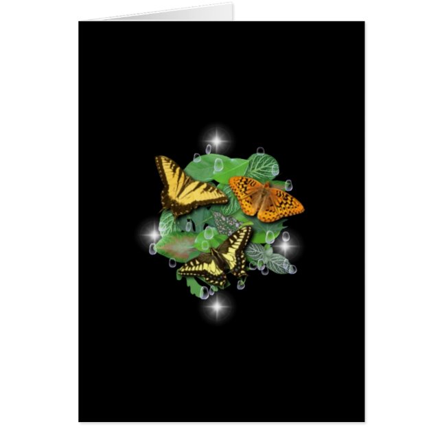 シュメトラーリンゲ・ミットブレター、レゲトロフェン、スターヌ (正面)