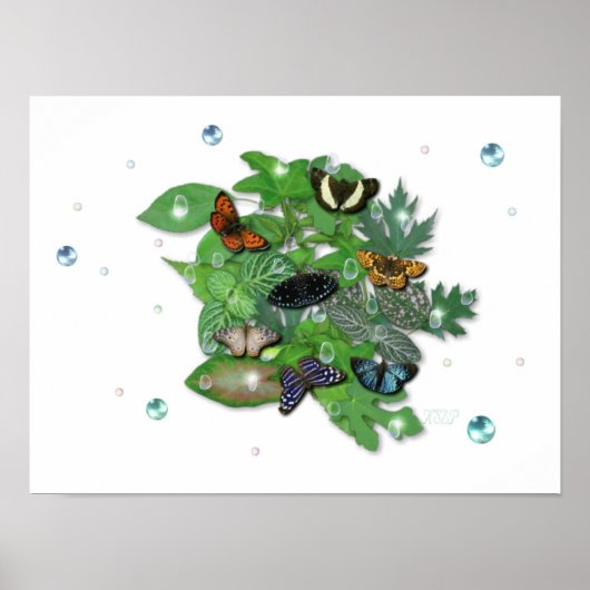 シュメトラーリンゲ・ミットブレター、レジエントフェン、ペレン ポスター (正面)