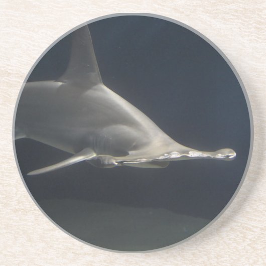 シュモクザメ コースター (正面)
