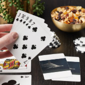 シュモクザメ トランプ (インサイチュ)