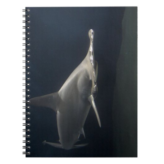 シュモクザメ ノートブック (正面)