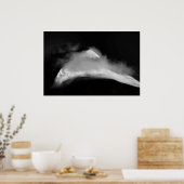 シュラウドバードピーク ポスター (キッチン)