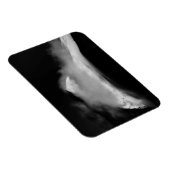 シュラウドバードピーク マグネット (右側)