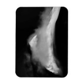 シュラウドバードピーク マグネット (縦)