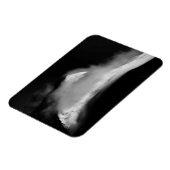 シュラウドバードピーク マグネット (左側)