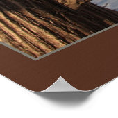 シュラウドブランチ ポスター (角)