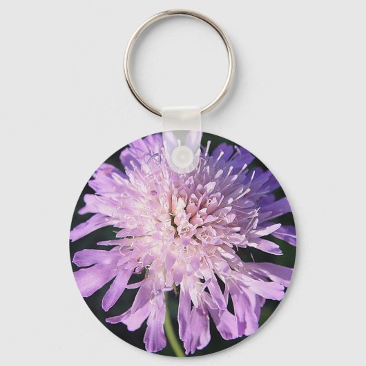 シュリュッセランナーガーリラスカビオサベルテ キーホルダー (正面)