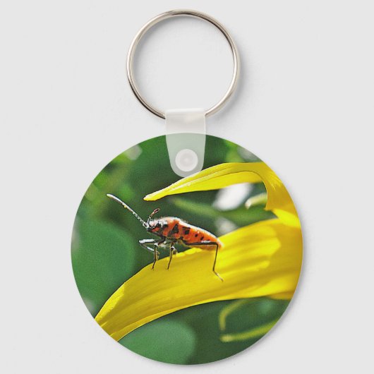 シュリュッセランナーガーローターパンクテカファー キーホルダー (正面)