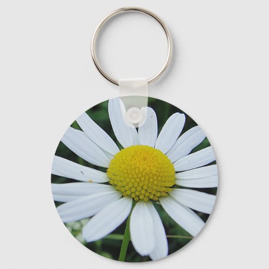 シュリュッセランナーガーヴァイセマージェライト キーホルダー (正面)