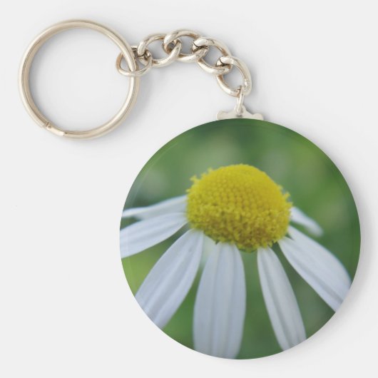 シュリュッセランハンガーカミレンブリュテ キーホルダー (正面)