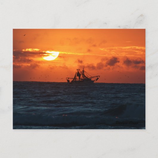 シュリンパー ポストカード (正面)