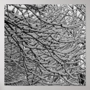 シュリーブポートの降雪 ポスター