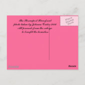 シュリーブポートリバーフロント ポストカード (裏面)