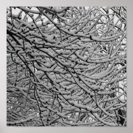 シュリーブポート降雪 ポスター (正面)