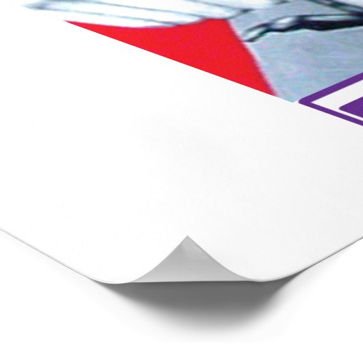 シュリーム ポスター (角)