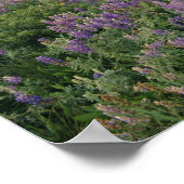 シュルボーン湖に沿ってプレーリーの野草 ポスター (角)