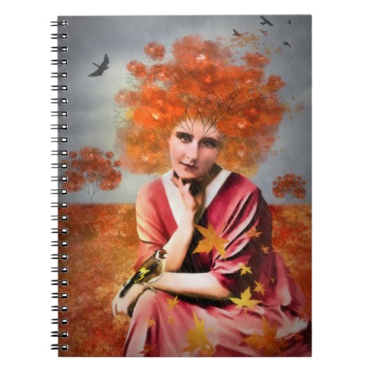 シュルムフリスル ノートブック (正面)