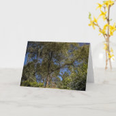 シュレアル・ツリー・カ空白のード カード (黄色い花)
