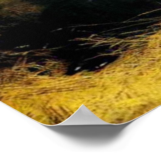 シュレウは飼い慣らされた ポスター (角)