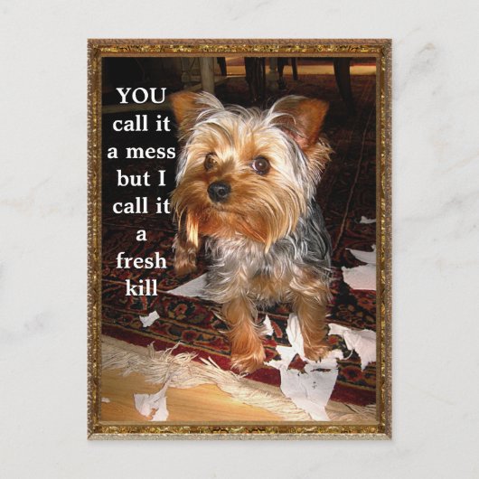 シュレッダーカスタマイズ可能はがき ポストカード (正面)