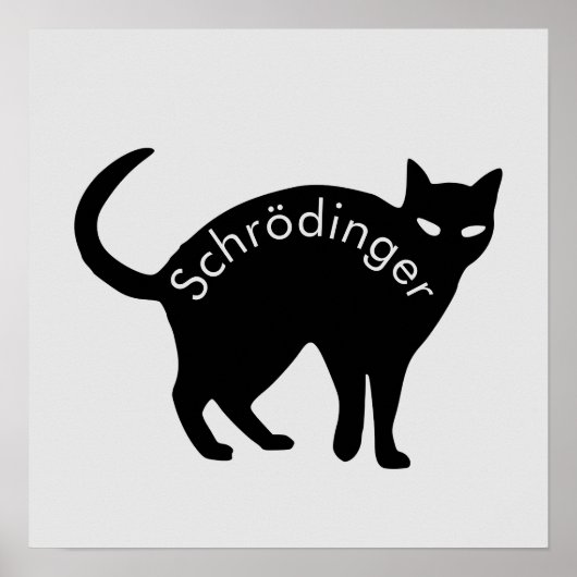 シュレディナーの猫 ポスター (正面)