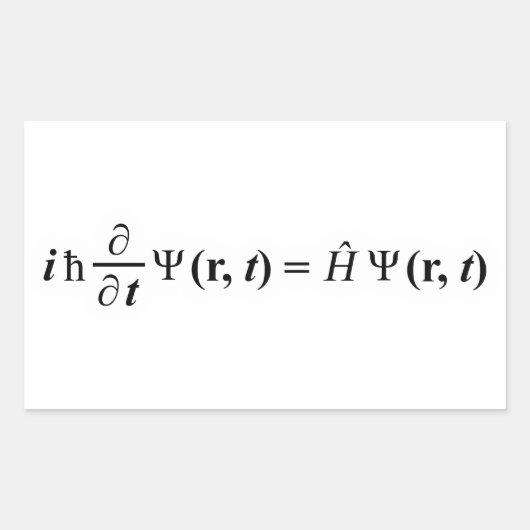 シュレディナーグリチフンシュローダー方程式 長方形シール (正面)