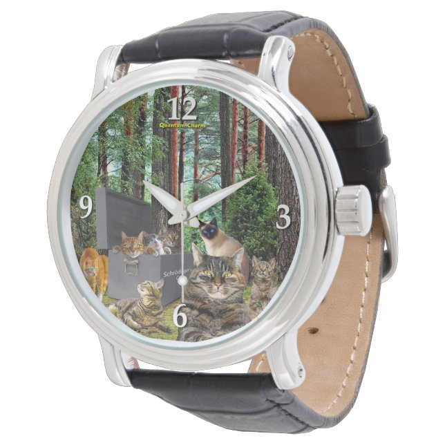 シュレディンガーのキャットウォッチ 腕時計 (アングル)