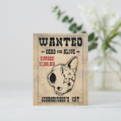 シュレディンガーの猫が指名手配 ポストカード (スタンド正面)