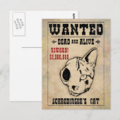 シュレディンガーの猫が指名手配 ポストカード (正面/裏面)