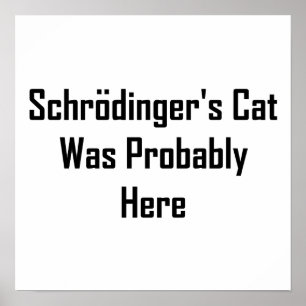 シュレディンガーの猫が来たのかもしれない ポスター