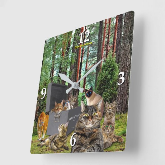 シュレディンガーの猫時計 スクエア壁時計 (傾斜)