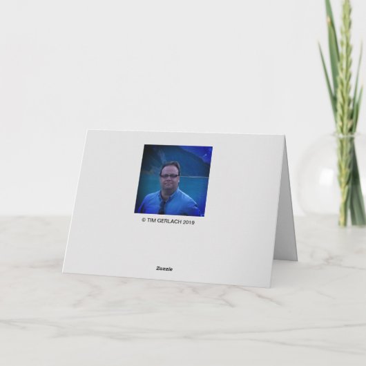 シュレディンガーの猫：クリスマスを政治的に矯正 カード (裏面)