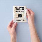 シュレディンガーの飼い猫が欲しかった チラシ (手)