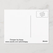 シュレディンガー猫 ポストカード (裏面)