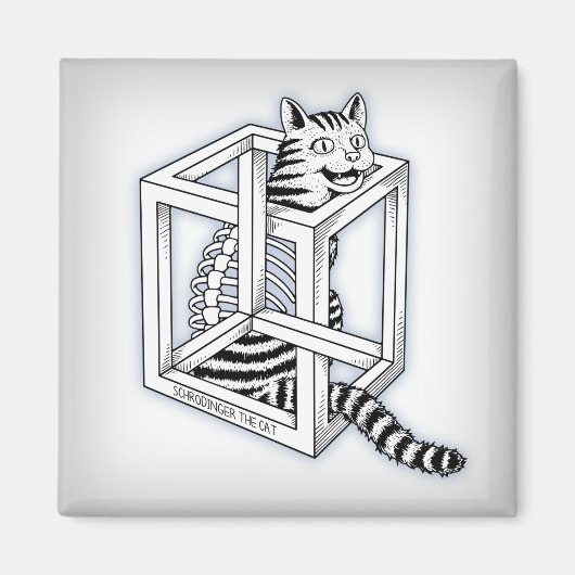 シュレディンガー マグネット (正面)