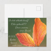 シュレヒト・ドリュフ？ゲストレスト！マーズ・ウィー・イン・コアラ！ ポストカード (正面/裏面)