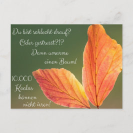 シュレヒト・ドリュフ？ゲストレスト！マーズ・ウィー・イン・コアラ！ ポストカード