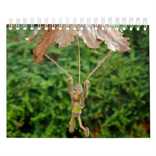 シュレブルック渓谷のドングリ族 カレンダー (カバー)