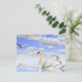 シュワネンゼ ポストカード (スタンド正面)